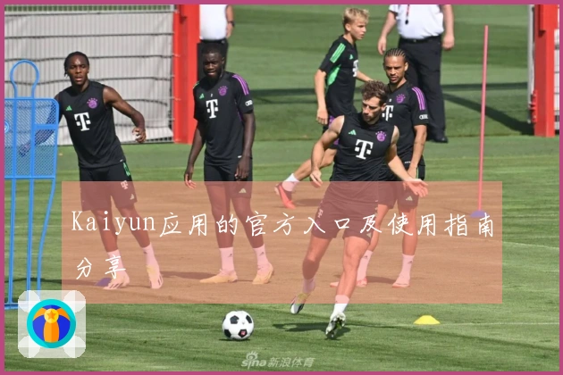 Kaiyun应用的官方入口及使用指南分享