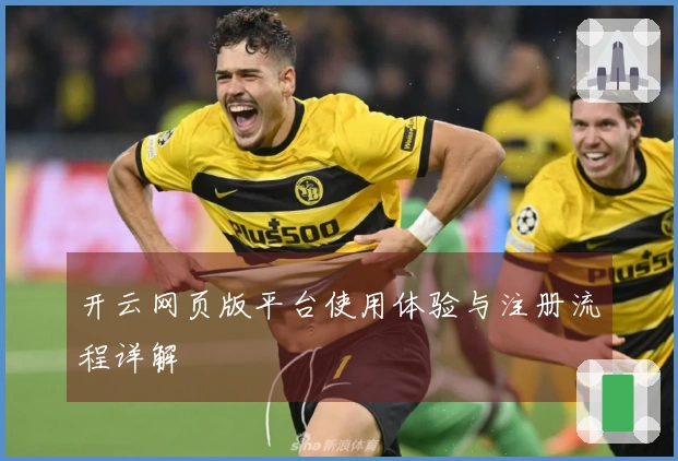 开云网页版平台使用体验与注册流程详解